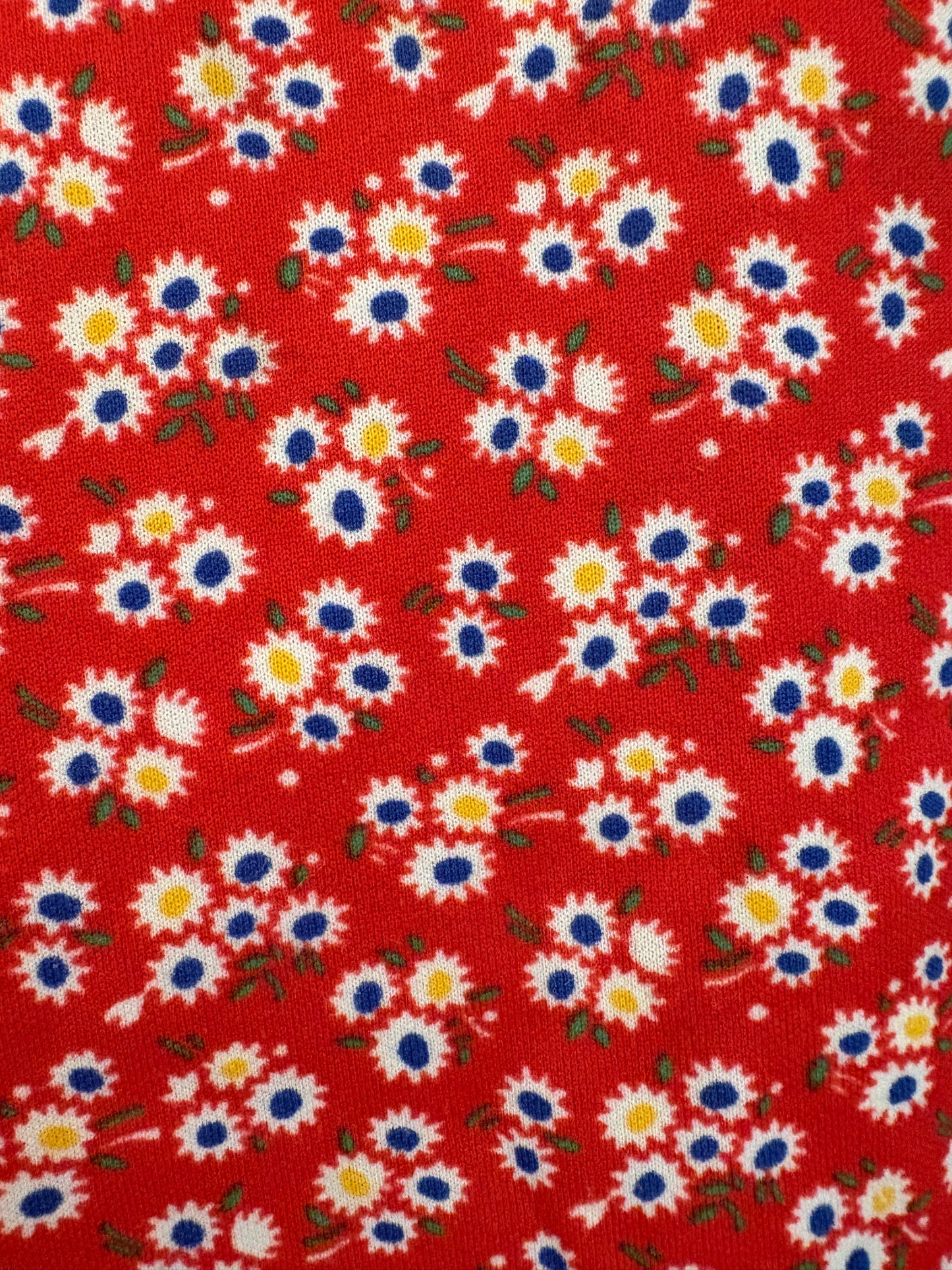 1970s Daisy Day Dress