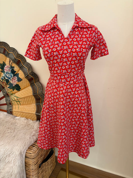 1970s Daisy Day Dress